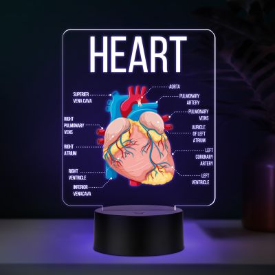 3D Illusion Anatomical Heart Diagram LED Lamp with 7 Color Changing Light Gift for Medical & Science Student Home, Clinic, Hospital & Study Desk Table Decor
